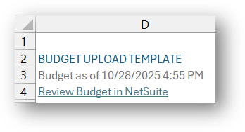 Review Budget in NetSuite